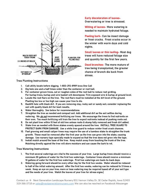 tree-planting-instructions-next-generation-landscape-nursery